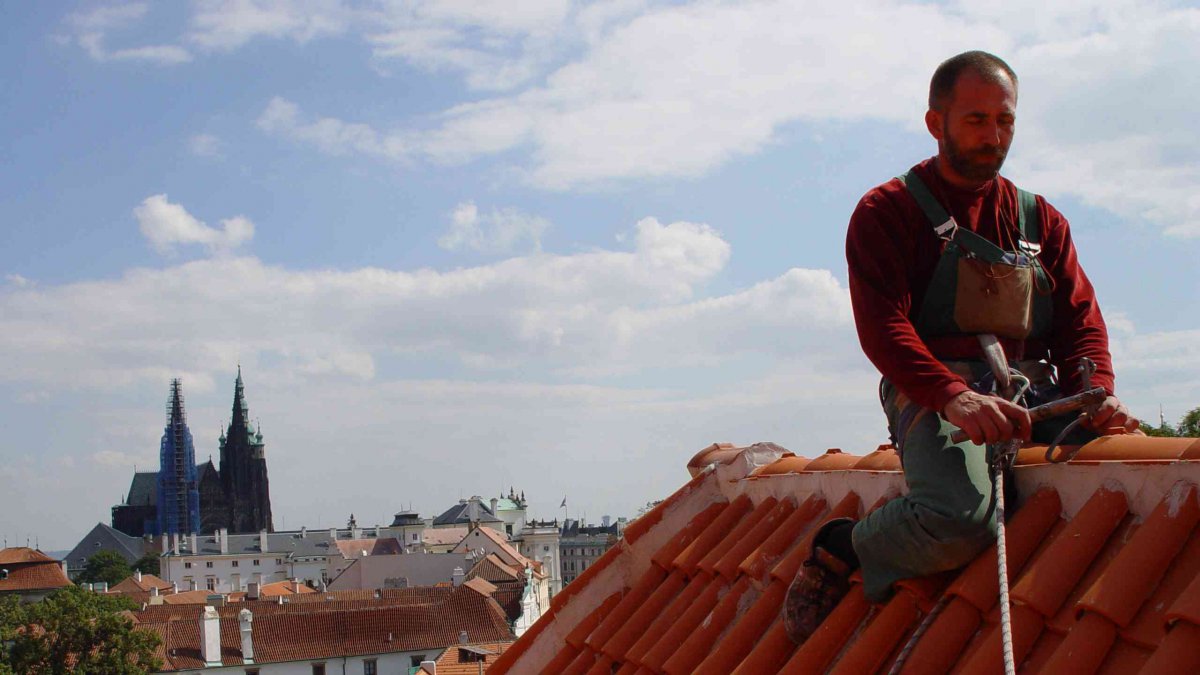 Reference za rok 2014